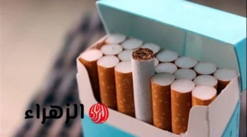 أسعار السجائر اليوم الأحد 19 أكتوبر 2025 بعد زيادة ضريبة القيمة المضافة وتأثيرها على السوق المحلية